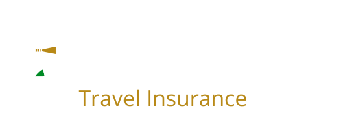 Lighthouse Insurance logo