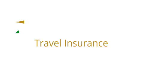 Lighthouse Insurance logo